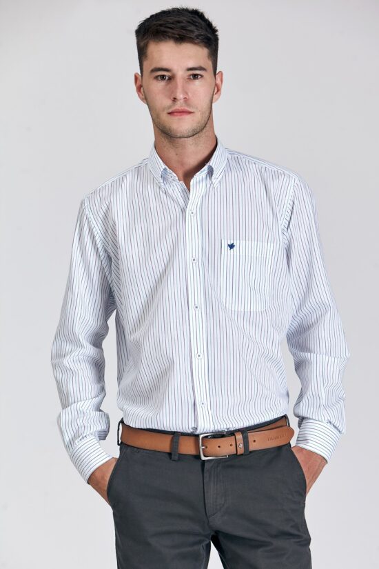 Camisa regular fit a rayas