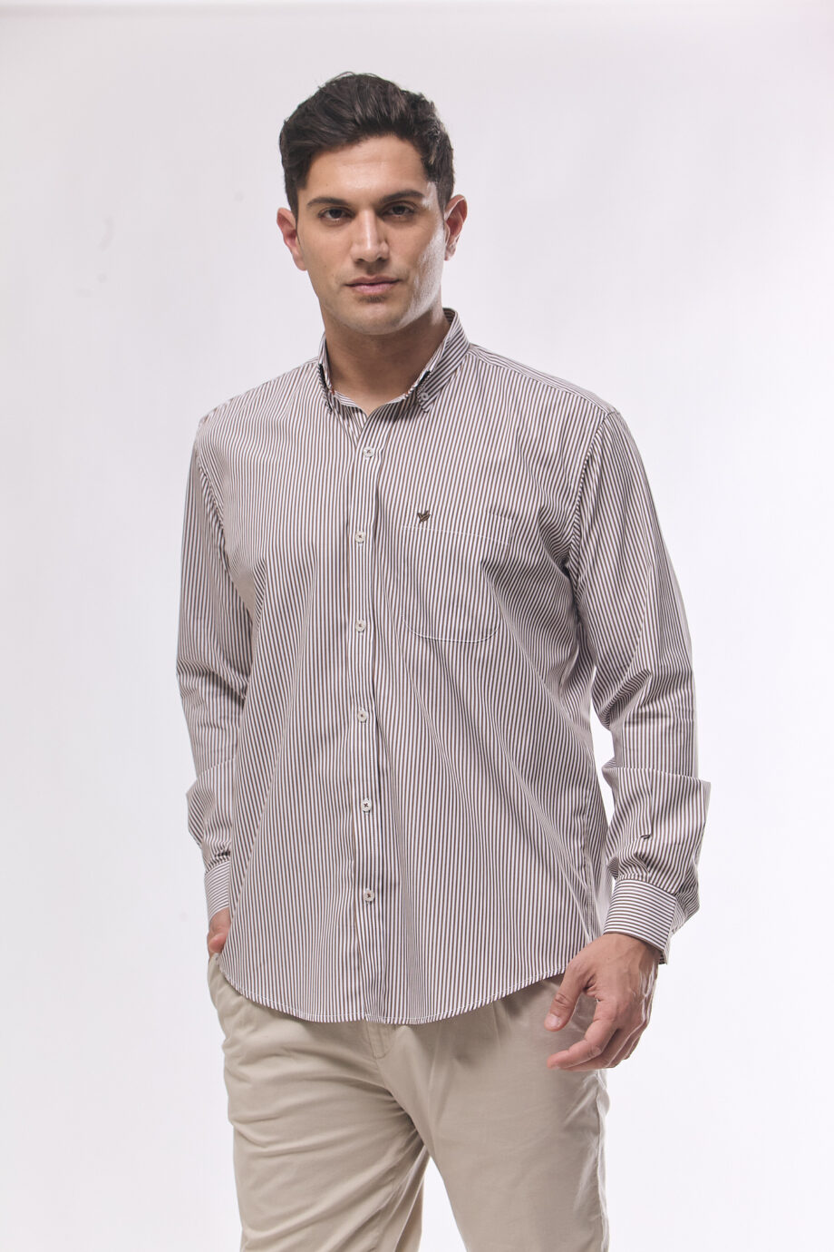 Camisa regular fit a rayas