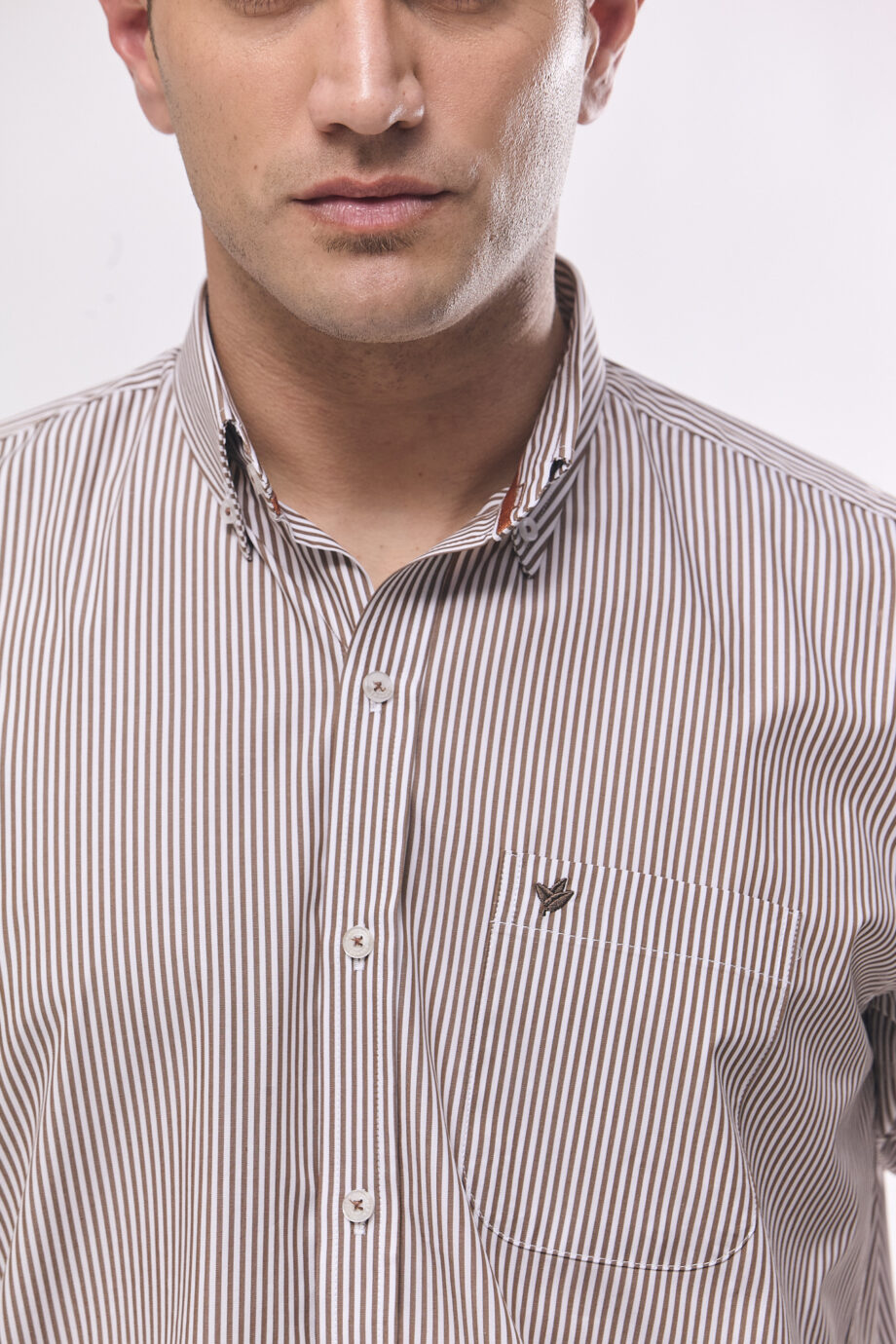 Camisa regular fit a rayas