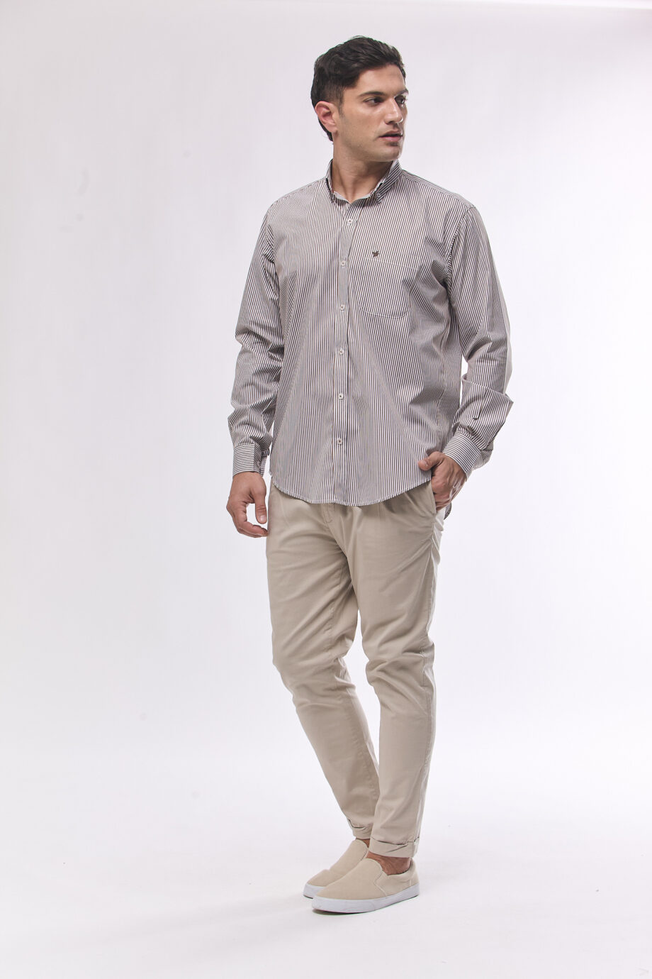 Camisa regular fit a rayas