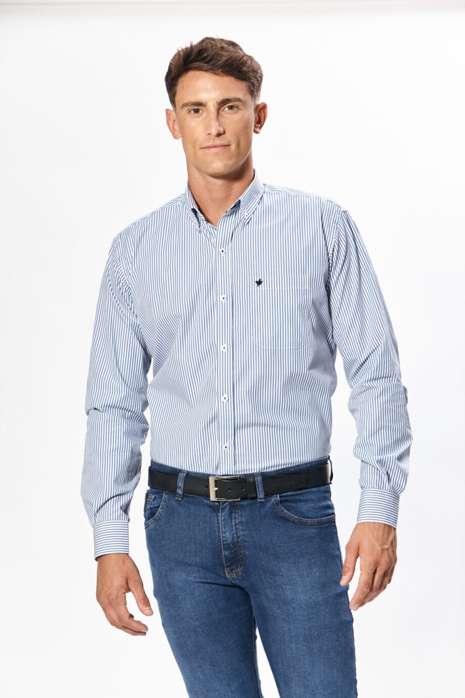 Camisa regular fit a rayas