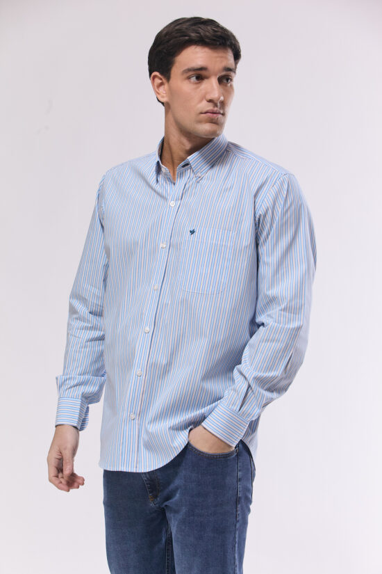 Camisa regular fit a rayas