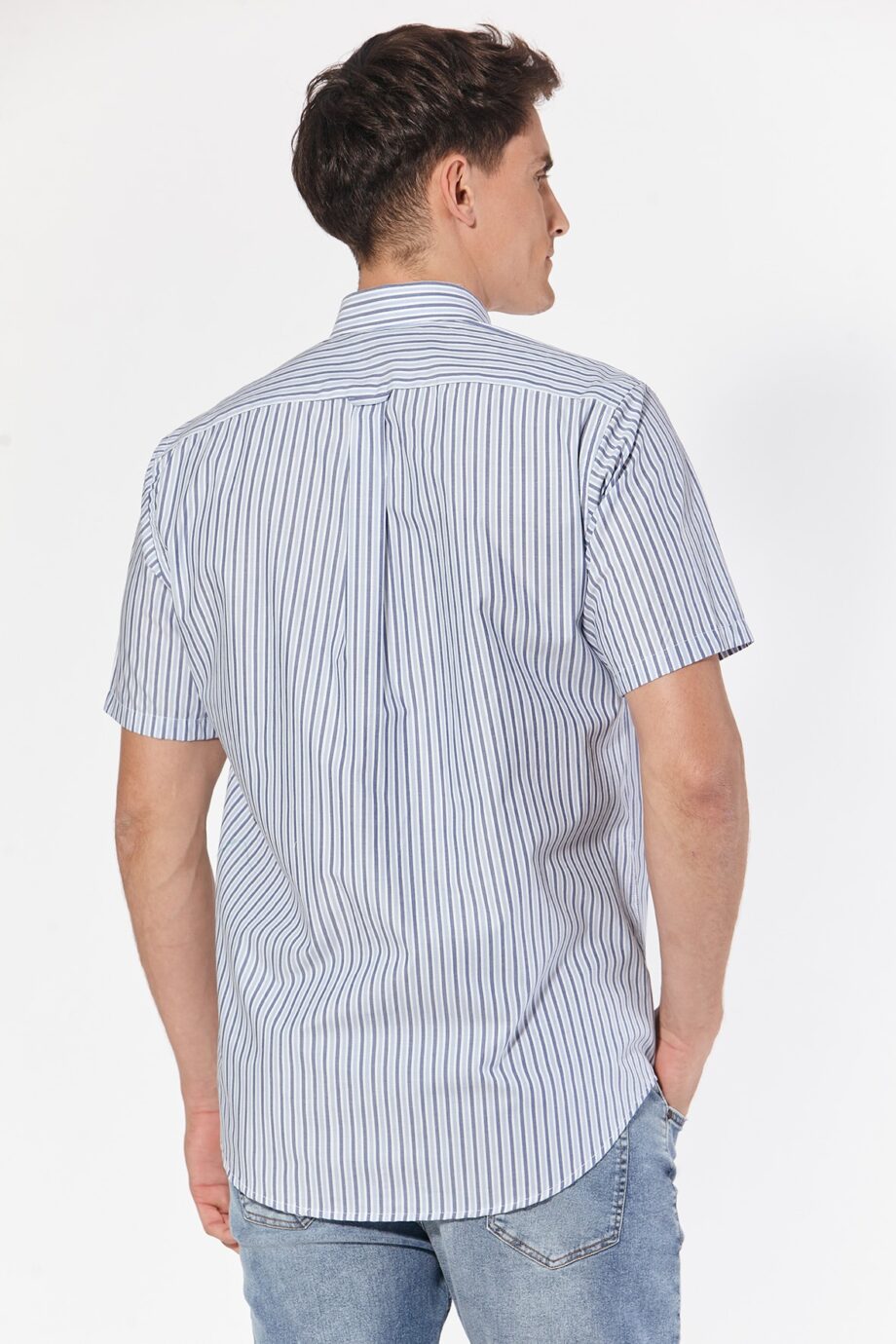 Camisa regular fit a rayas