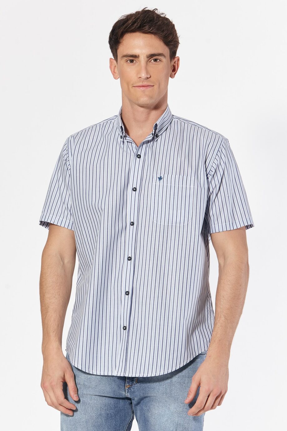 Camisa regular fit a rayas