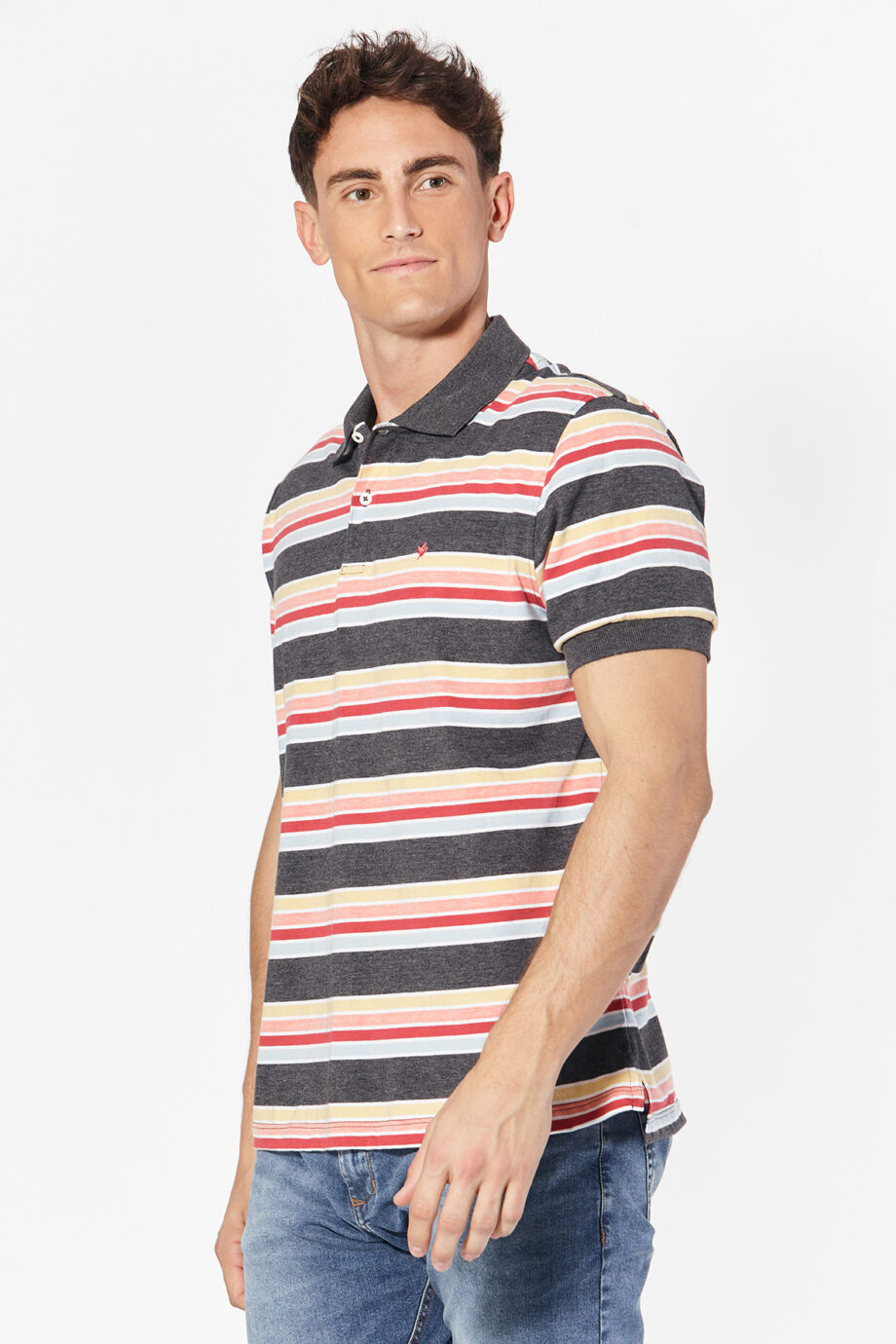 Polo rayada de jersey