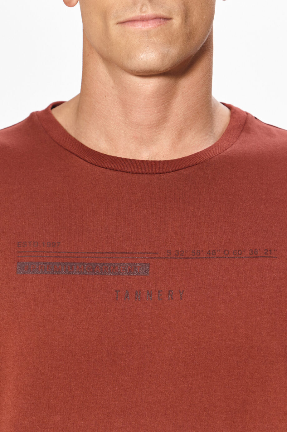 Remera premium garment de jersey
